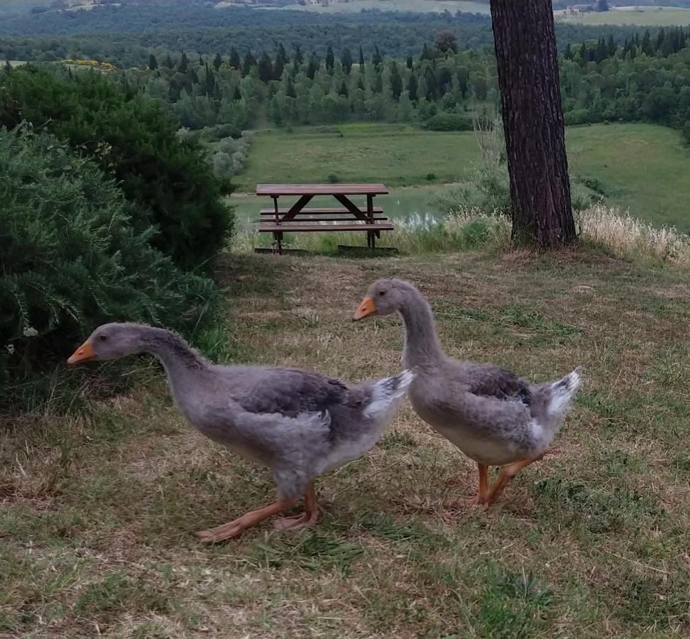 트레콴다 Agriturismo Sole 빌라 외부 사진