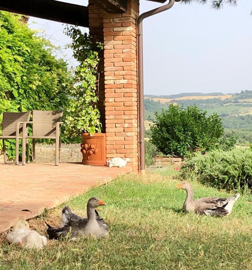 트레콴다 Agriturismo Sole 빌라 외부 사진