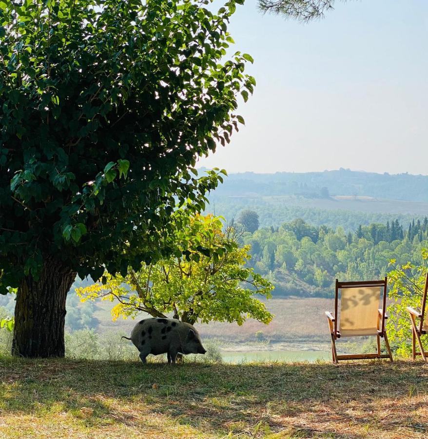 Agriturismo Sole 트레콴다 외부 사진