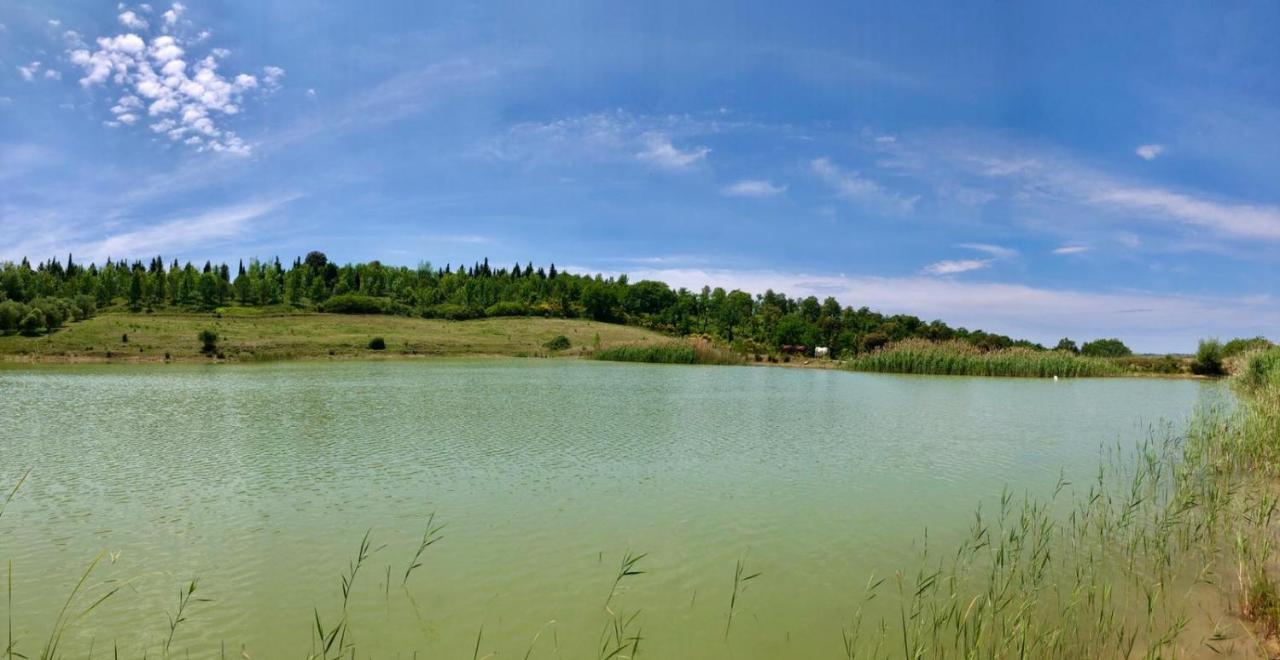 Agriturismo Sole 트레콴다 외부 사진